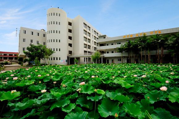 泉州华光职业学院师范专业认证应知应会（教师版）