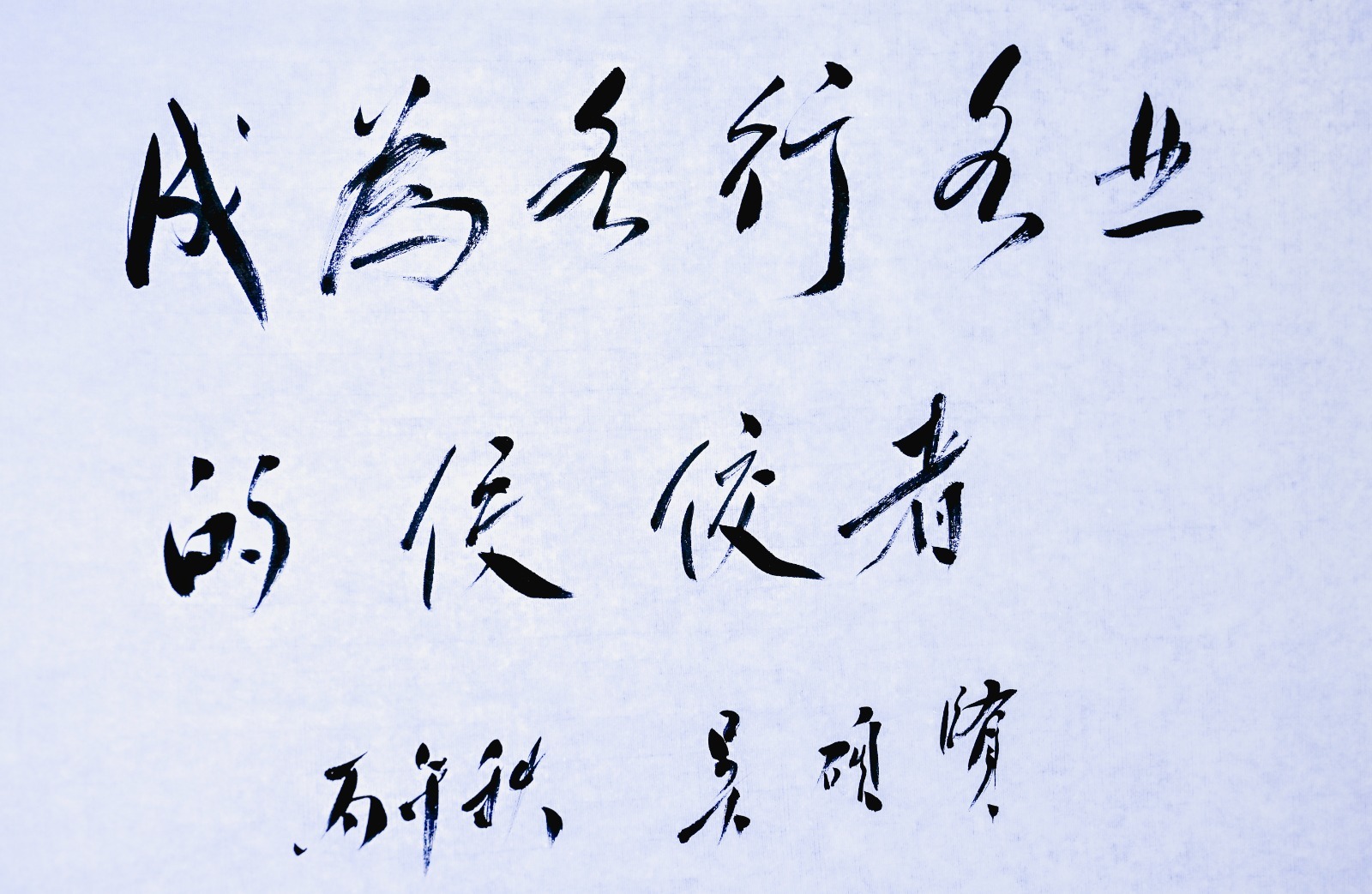 Z63_7312.jpg